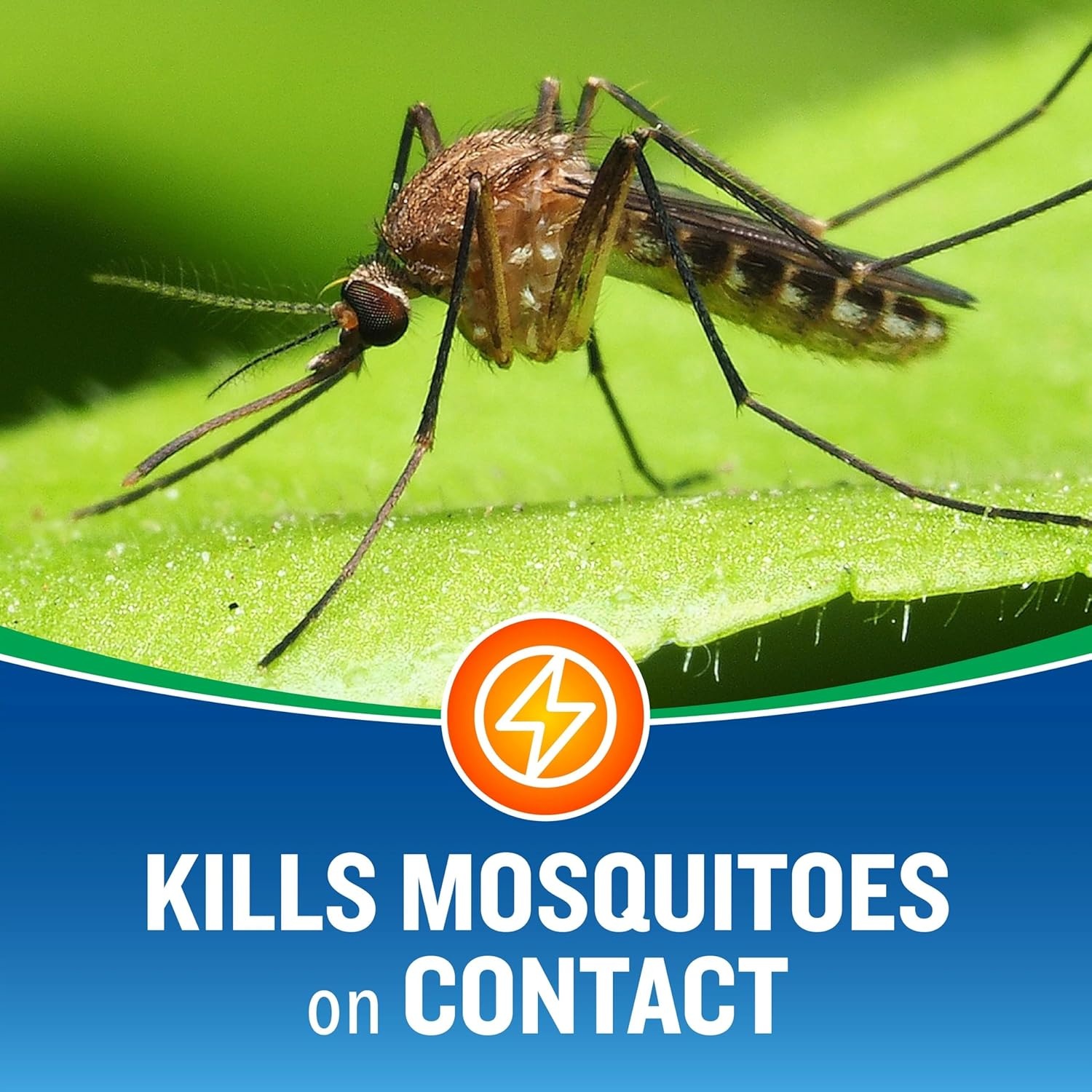 image:imageCutter Backyard Bug Control Outdoor Fogger Kills Mosquitoes Fleas amp Listed Ants 16 Ounce 3 Pack3 Pack