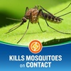 image:imageCutter Backyard Bug Control Outdoor Fogger Kills Mosquitoes Fleas amp Listed Ants 16 Ounce 3 Pack3 Pack