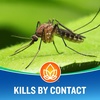 image:imageCutter Backyard Bug Control Spray Concentrate 3 Pack Kills Mosquitoes Fleas amp Listed Ants 32 fl Ounce2 Pack