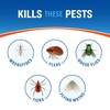 image:imageCutter Backyard Bug Control Spray Concentrate 3 Pack Kills Mosquitoes Fleas amp Listed Ants 32 fl Ounce6 Pack