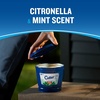 image:imageCutter Candle Outdoor Soy Wax Candle Made with Real Citronella Oil and Cornmint Oil Reduces The Presence of Mosquitoes with A Light Fragrant Citronella and Mint Scent 11 Ounces17 Oz Pack of 1
