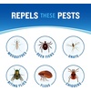 image:imageCutter Dry Insect Repellent Aerosol 4Ounce 12Count Clear12 Pack
