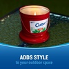 image:imageCutter Candle Outdoor Soy Wax Candle Made with Real Citronella Oil and Cornmint Oil Reduces The Presence of Mosquitoes with A Light Fragrant Citronella and Mint Scent 17 Ounces 6 Pack