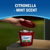 image:imageCutter Candle Outdoor Soy Wax Candle Made with Real Citronella Oil and Cornmint Oil Reduces The Presence of Mosquitoes with A Light Fragrant Citronella and Mint Scent 17 Ounces 6 Pack